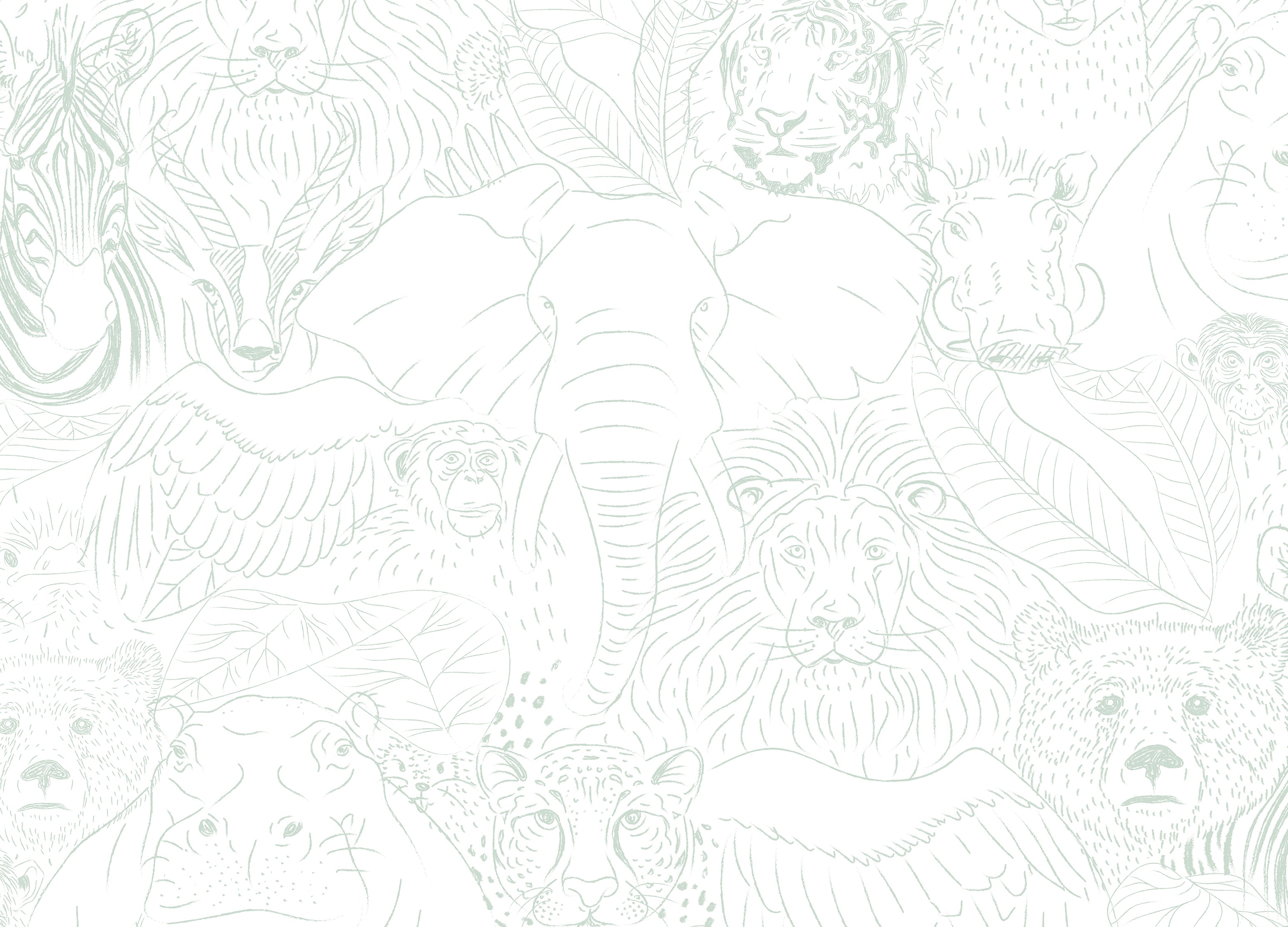 jungle animals drawing wallpaper