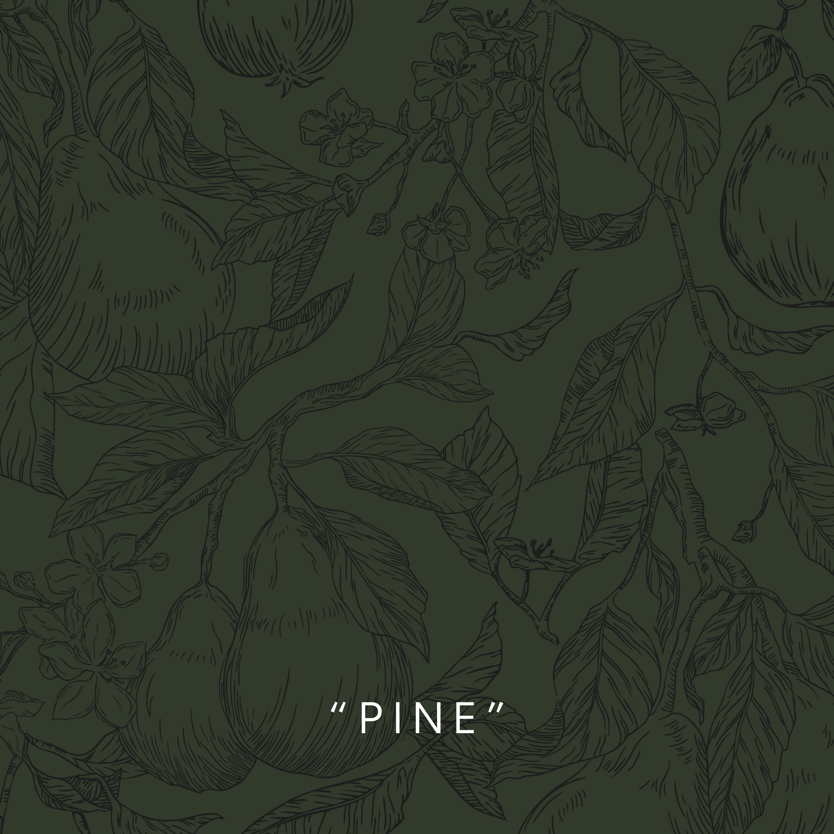 Flowering Pear Wallpaper