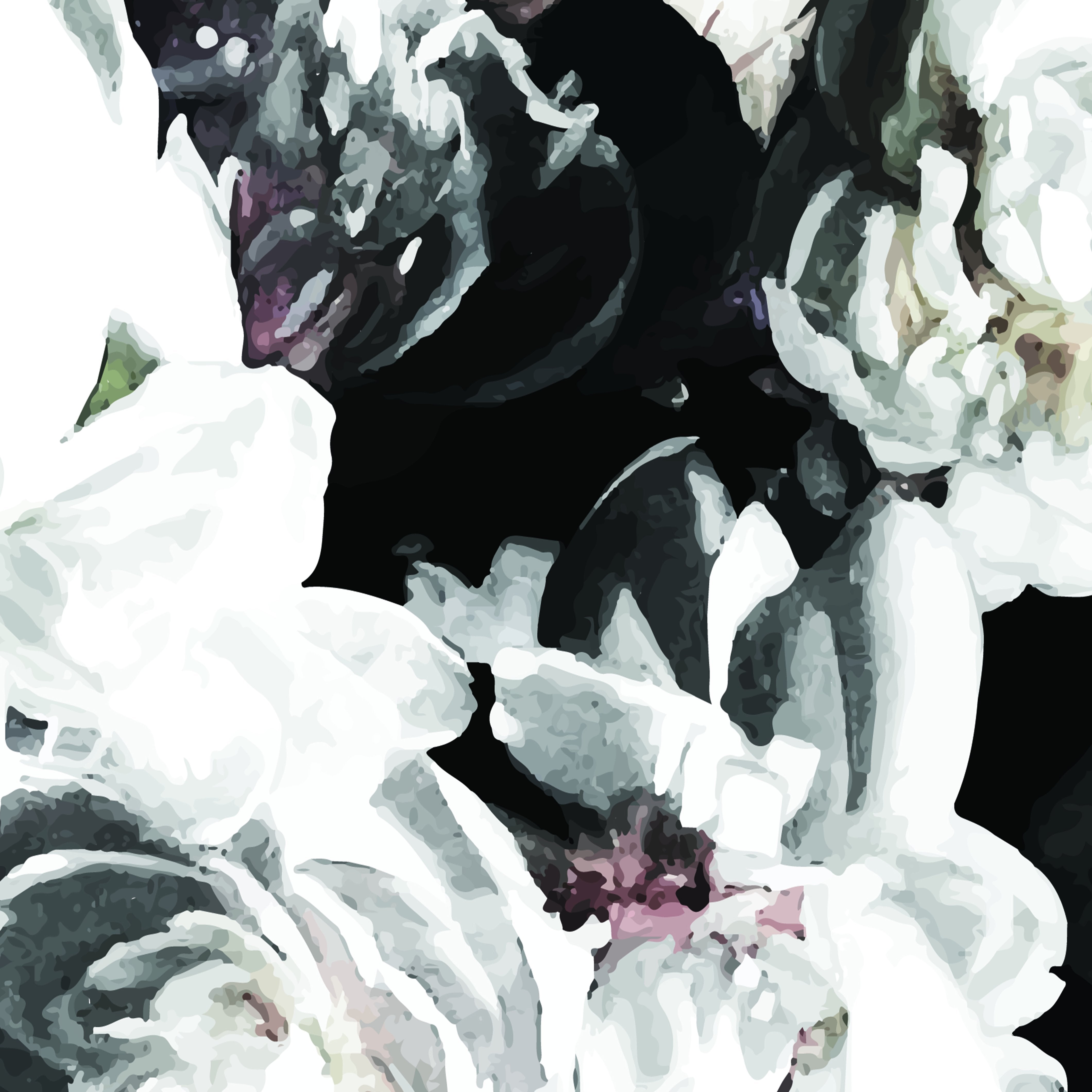 floral wallpaper black background