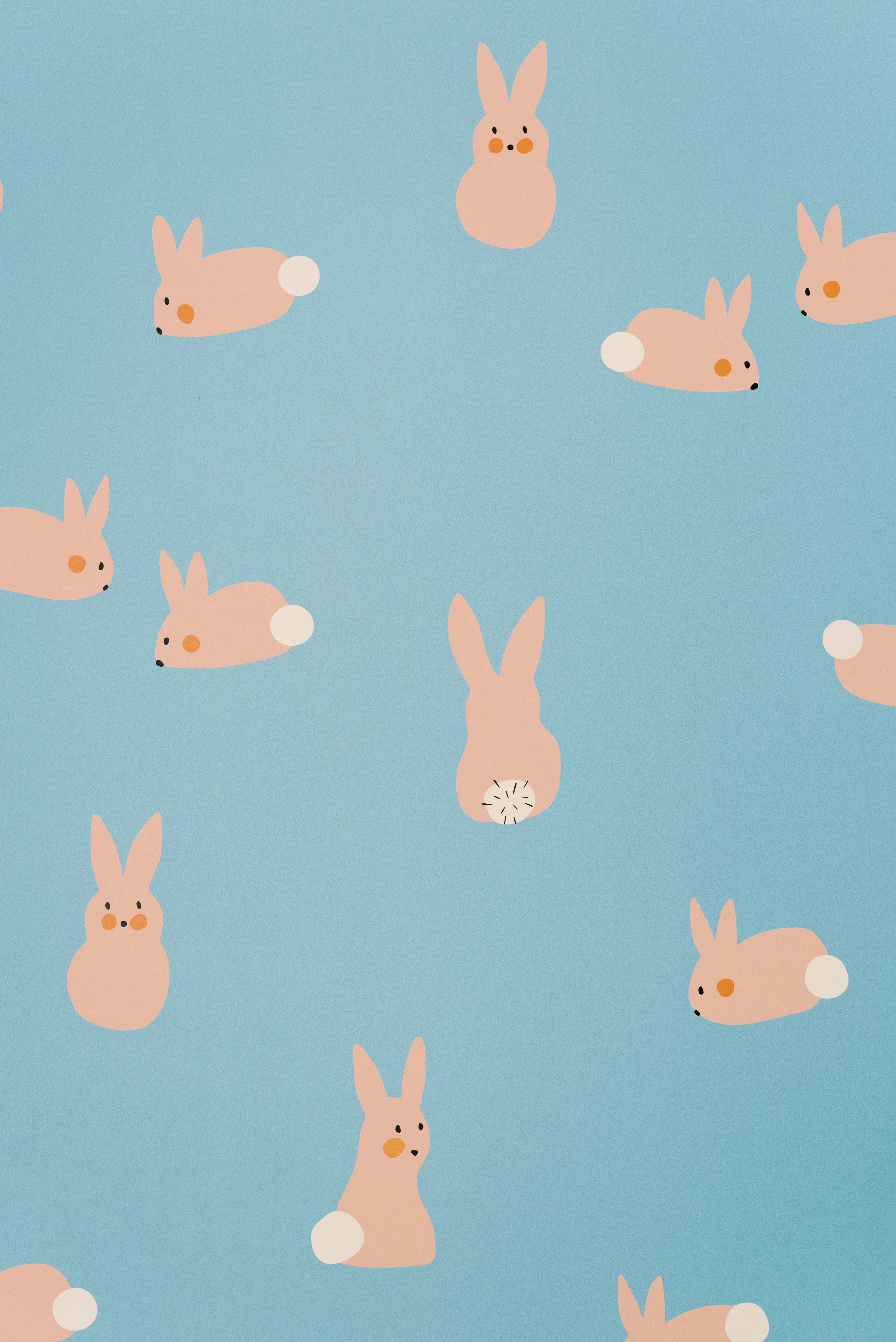 cute bunny wallpaper
