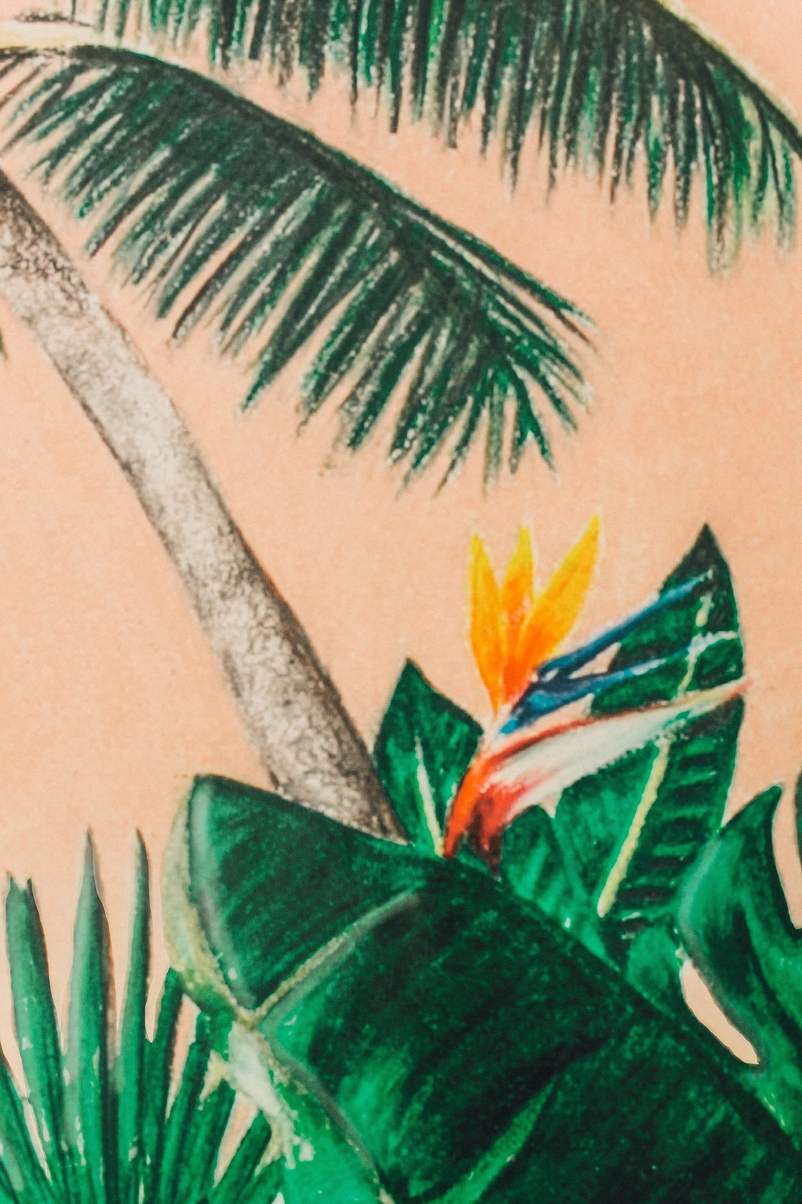 vintage floral palm tree wallpaper