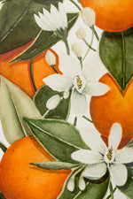 vintage orange fruit wallpaper
